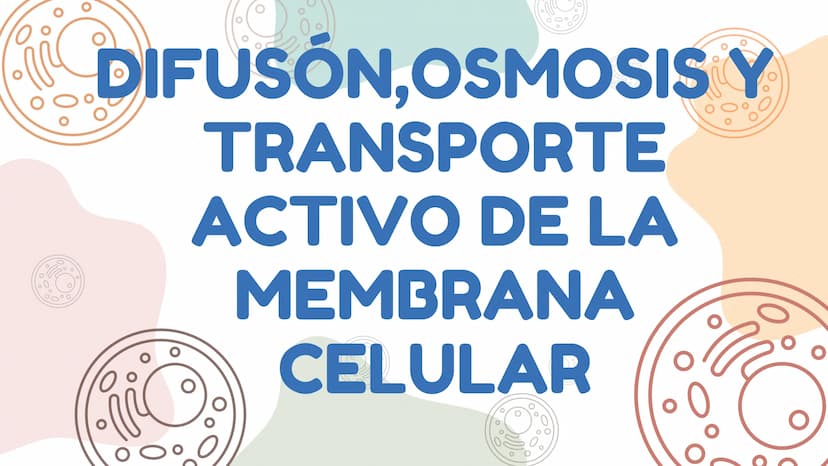 DIFUSÓN,OSMOSIS Y
TRANSPORTE
ACTIVO DE LA
MEMBRANA
CELULAR La difusion
LA DIFUSION ES EL DESPLAZAMIENTO DE
LAS MOLECULAS DE UNA SUSTANCIA
(E
