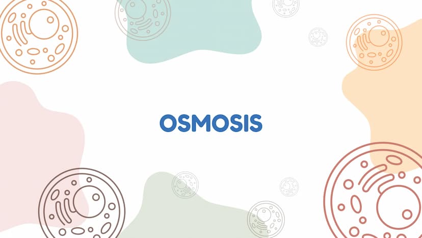 DIFUSÓN,OSMOSIS Y
TRANSPORTE
ACTIVO DE LA
MEMBRANA
CELULAR La difusion
LA DIFUSION ES EL DESPLAZAMIENTO DE
LAS MOLECULAS DE UNA SUSTANCIA
(E