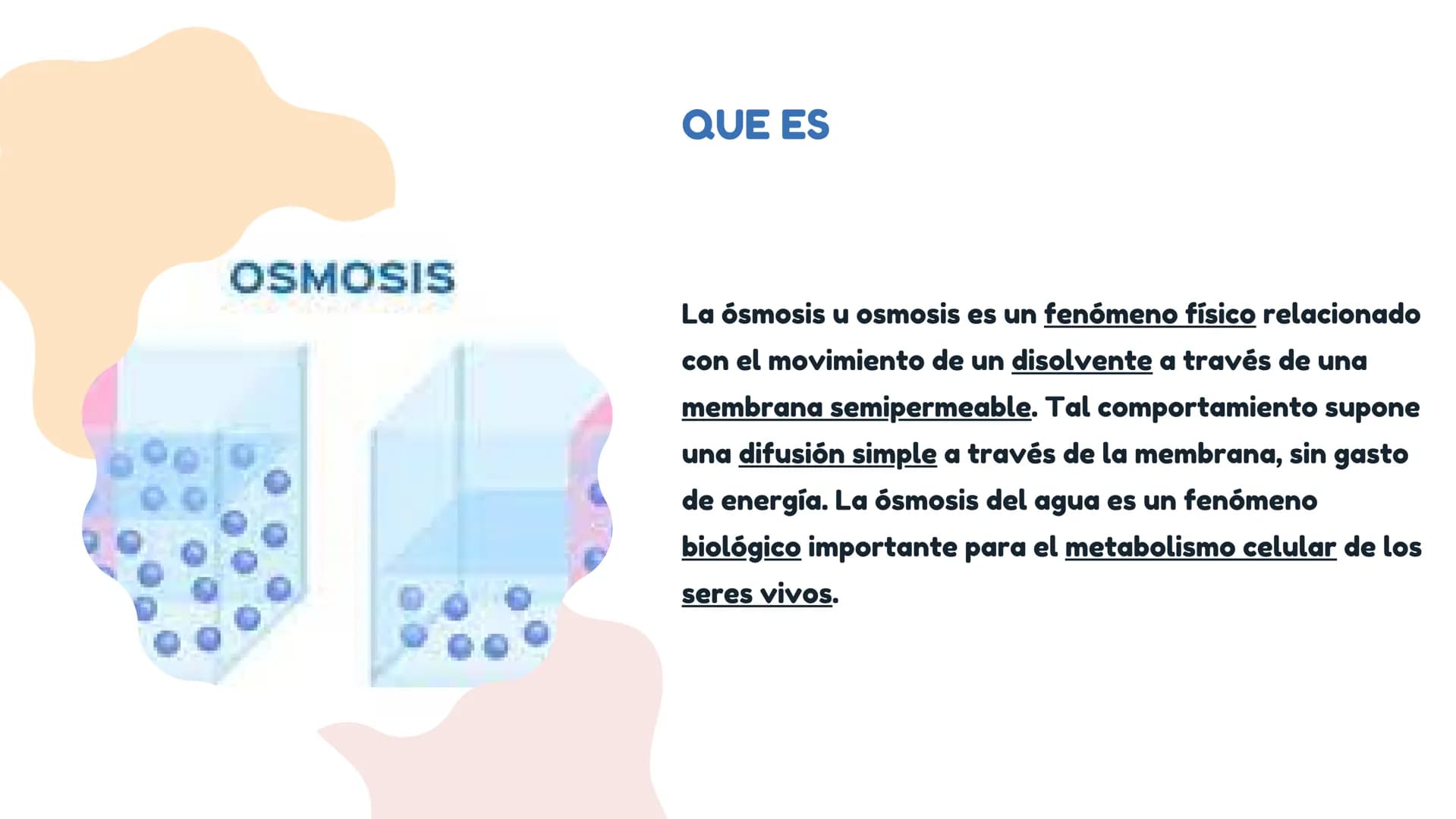 DIFUSÓN,OSMOSIS Y
TRANSPORTE
ACTIVO DE LA
MEMBRANA
CELULAR La difusion
LA DIFUSION ES EL DESPLAZAMIENTO DE
LAS MOLECULAS DE UNA SUSTANCIA
(E