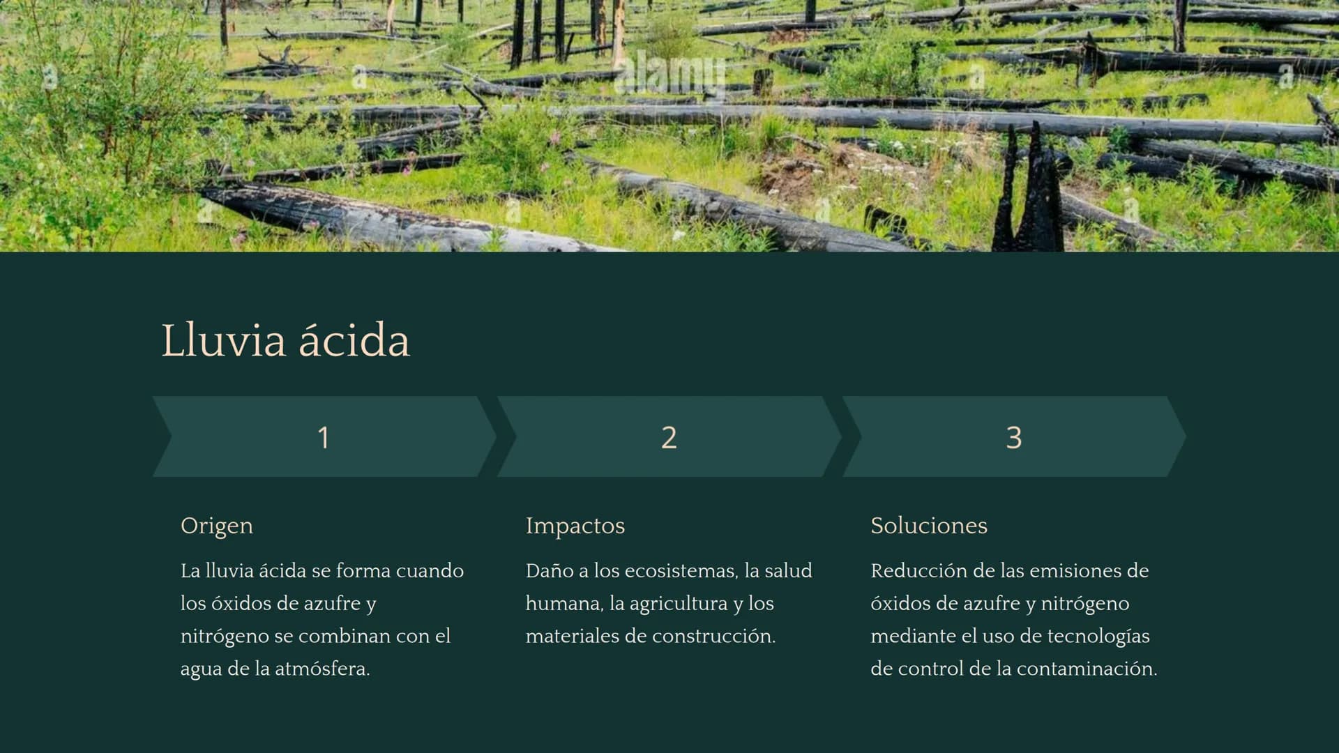 Química ambiental
La química ambiental estudia las interacciones de los
compuestos químicos en el medio ambiente. Esta rama de la
química in