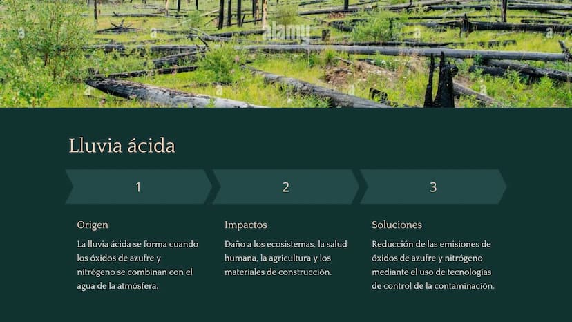 Química ambiental
La química ambiental estudia las interacciones de los
compuestos químicos en el medio ambiente. Esta rama de la
química in