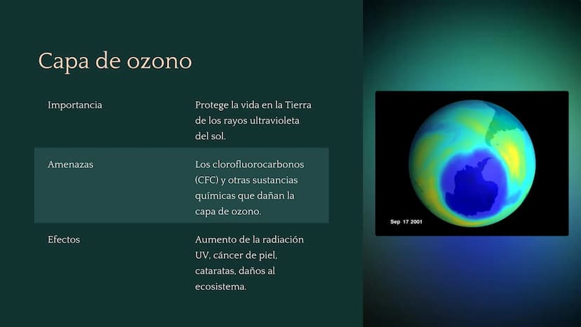 Química ambiental
La química ambiental estudia las interacciones de los
compuestos químicos en el medio ambiente. Esta rama de la
química in