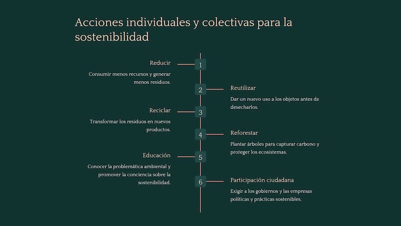 Química ambiental
La química ambiental estudia las interacciones de los
compuestos químicos en el medio ambiente. Esta rama de la
química in
