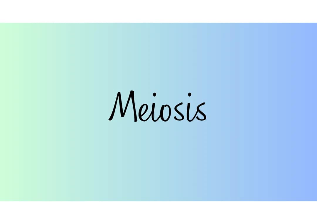 Meiosis