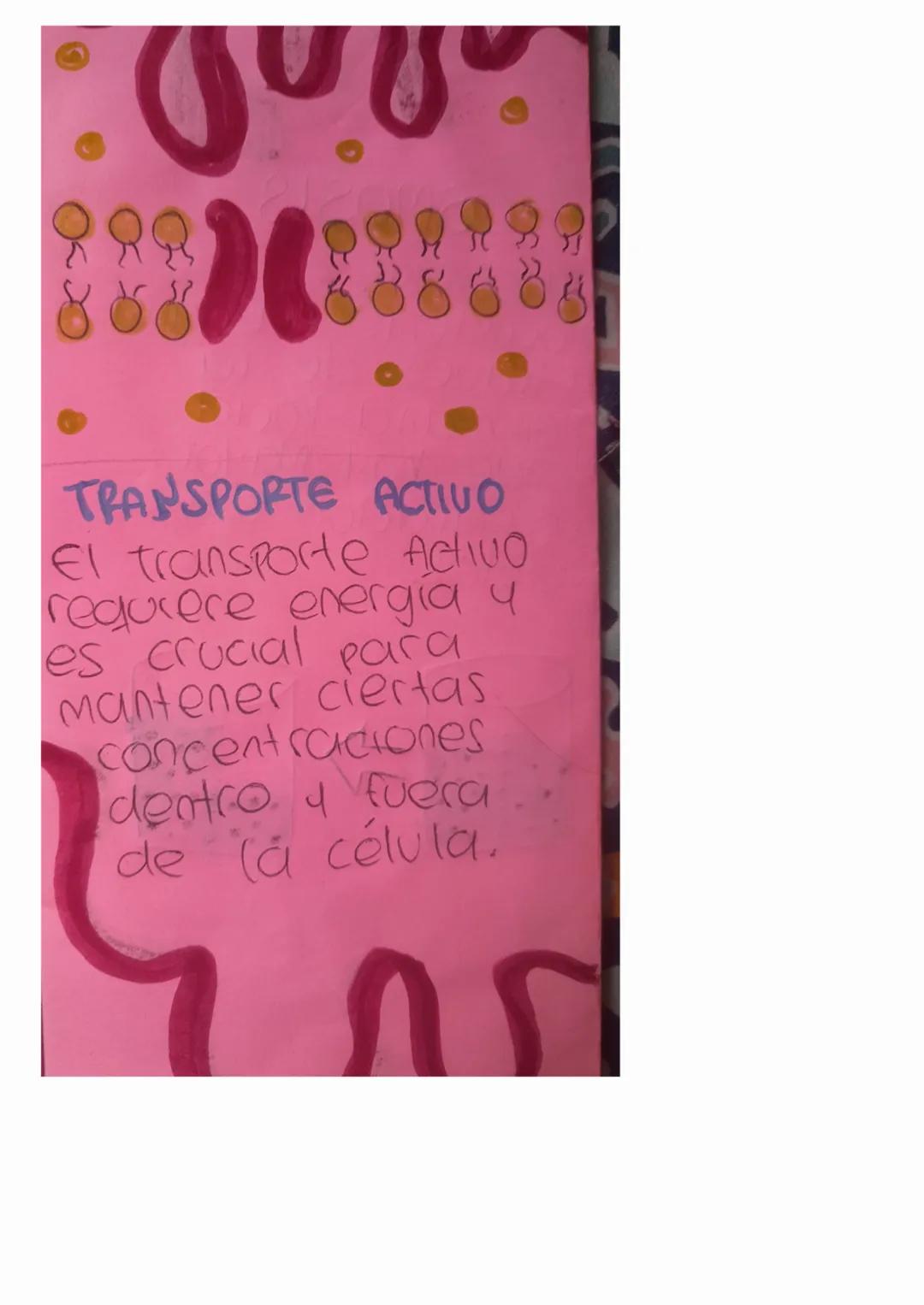 42
19/03/2004
# PANSPORTE A
# TRAVÉS DE LA
# MEMBRANA PLASMATICA

# DIFUSION SIMPLE
La difusion simple es
el movimiento de
Moléculas a favor