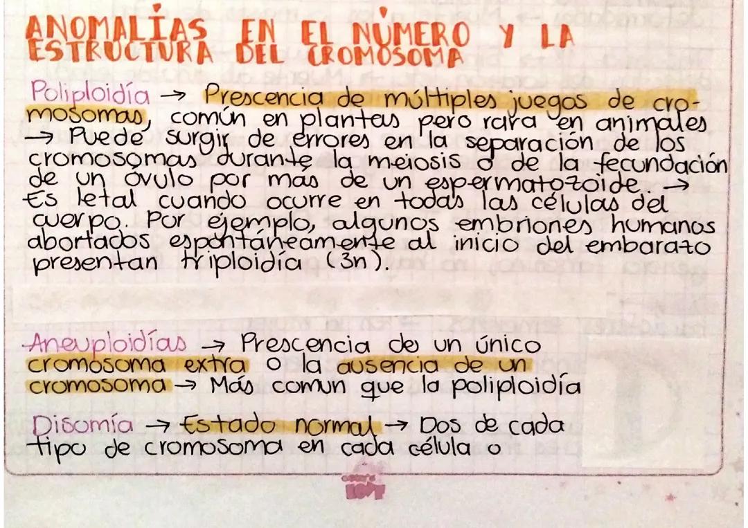Alteraciones Genéticas: Tipos y Ejemplos