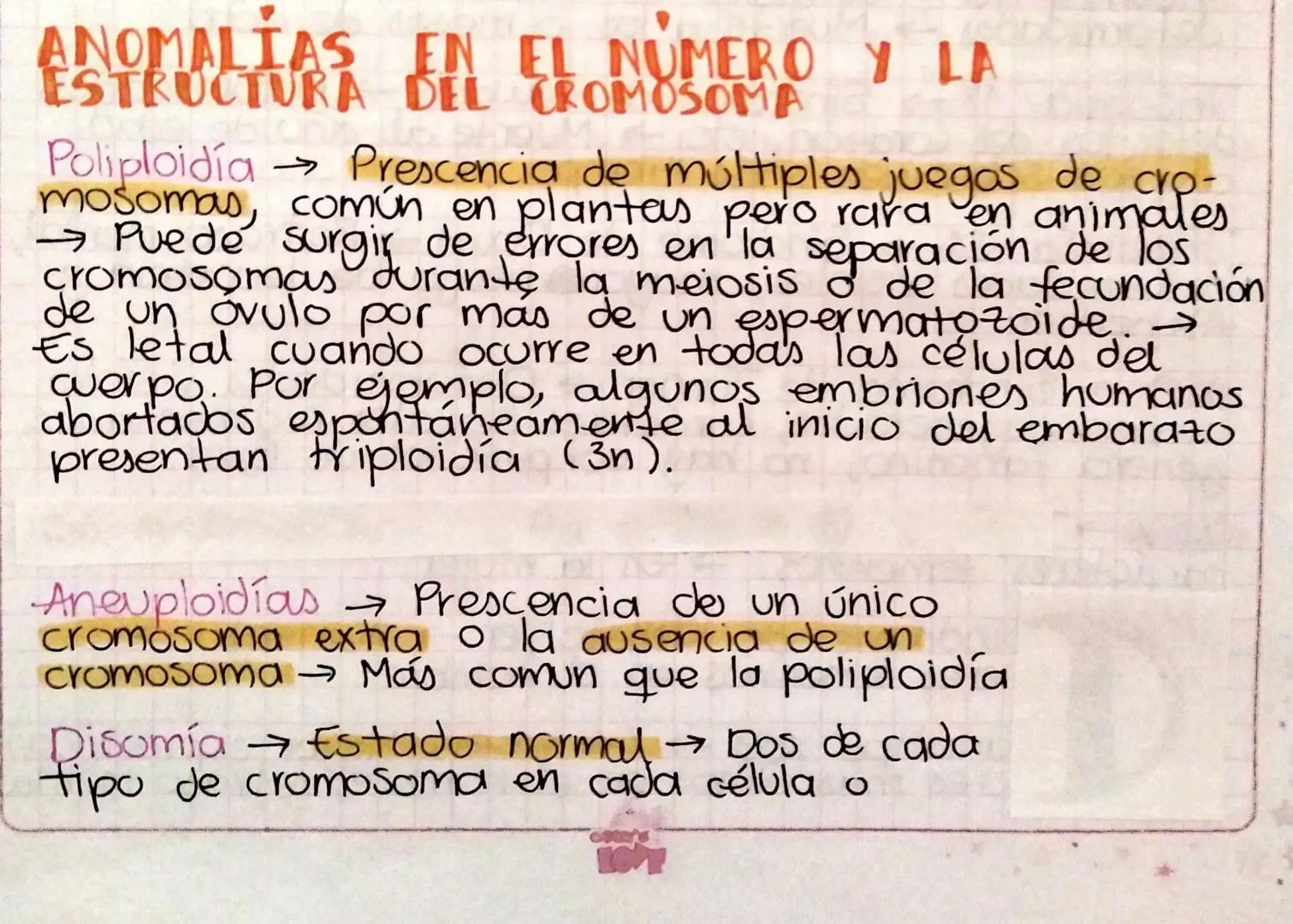 ANOMALÍAS IN EL NÚMERO Y LA
ESTRUCTURA DEL CROMOSOMA
d
Poliploidía Prescencia de múltiples juegos de cro-
mosomas, común en plantas pero rar
