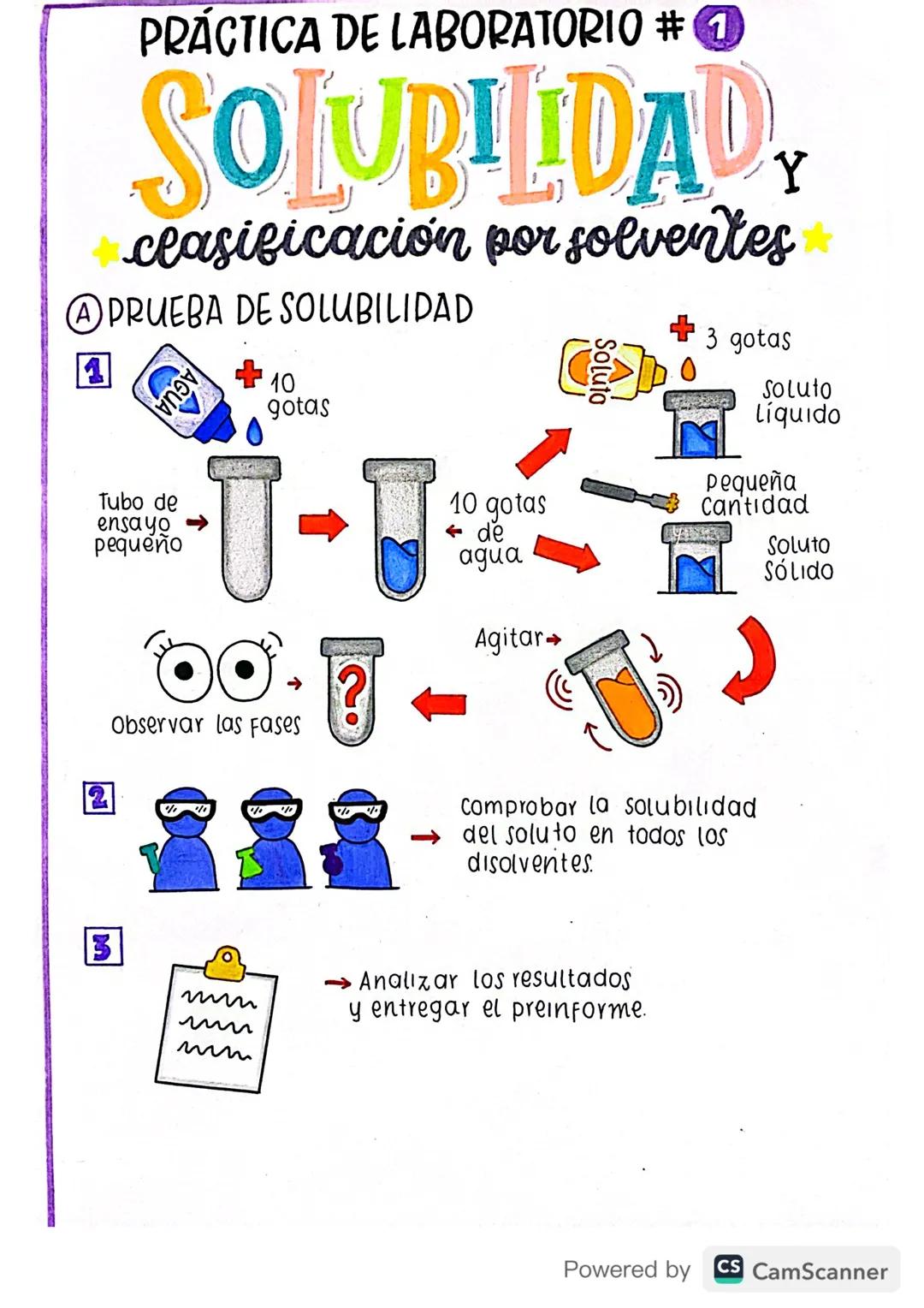 Química grado 10 y 11 - Práctica Solubilidad 