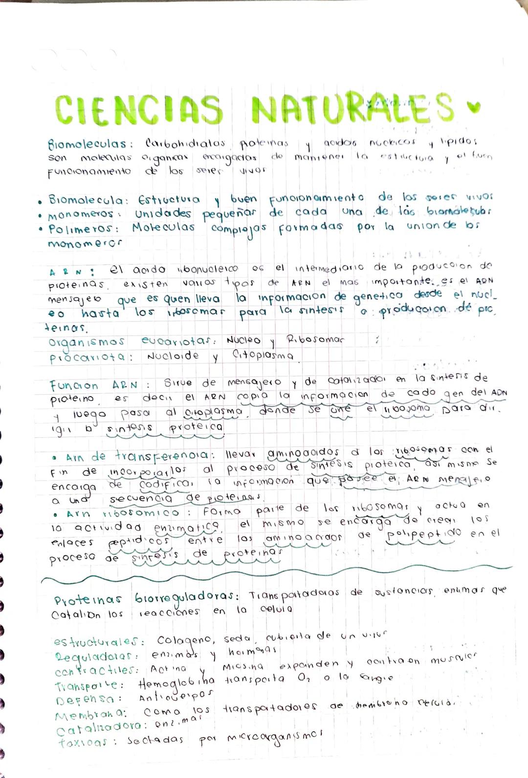 000
# GENETICA PARA ICFES

- Dominantes Caracteristicas que predominan
- (AA) Alelos
- (B6) Alelos
- Recesivo, Menor probabilidad que se exp