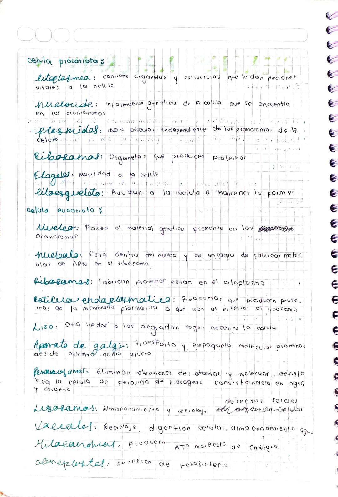 000
# GENETICA PARA ICFES

- Dominantes Caracteristicas que predominan
- (AA) Alelos
- (B6) Alelos
- Recesivo, Menor probabilidad que se exp