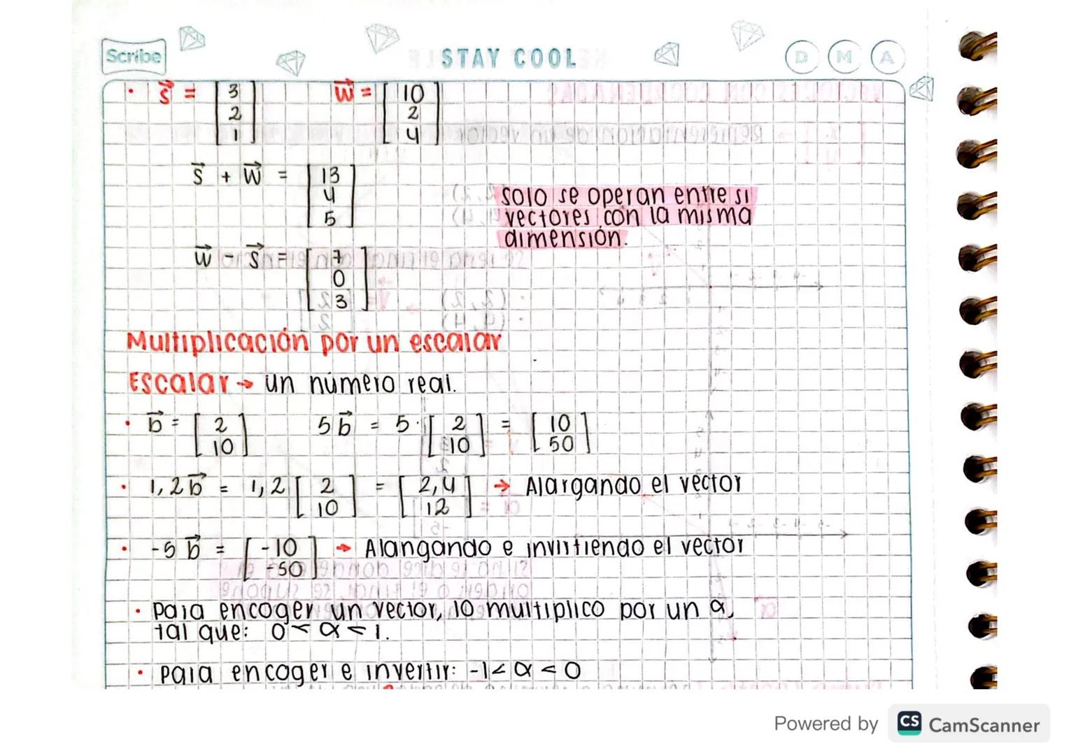 Scribe

STAY COOL

Resta:

Un vector negativo se invierte/cambia de dirección

(N)

/-(\)

+

=

=

←

cuando se suman vectores con direcció