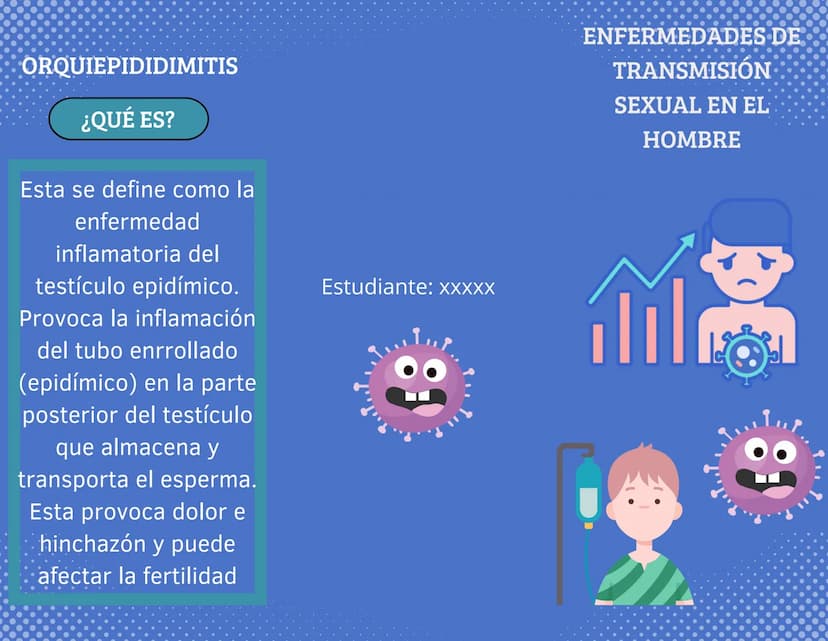 ORQUIEPIDIDIMITIS
¿QUÉ ES?
Esta se define como la
enfermedad
inflamatoria del
testículo epidímico.
Provoca la inflamación
del tubo enrrollad