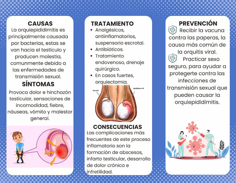ORQUIEPIDIDIMITIS
¿QUÉ ES?
Esta se define como la
enfermedad
inflamatoria del
testículo epidímico.
Provoca la inflamación
del tubo enrrollad