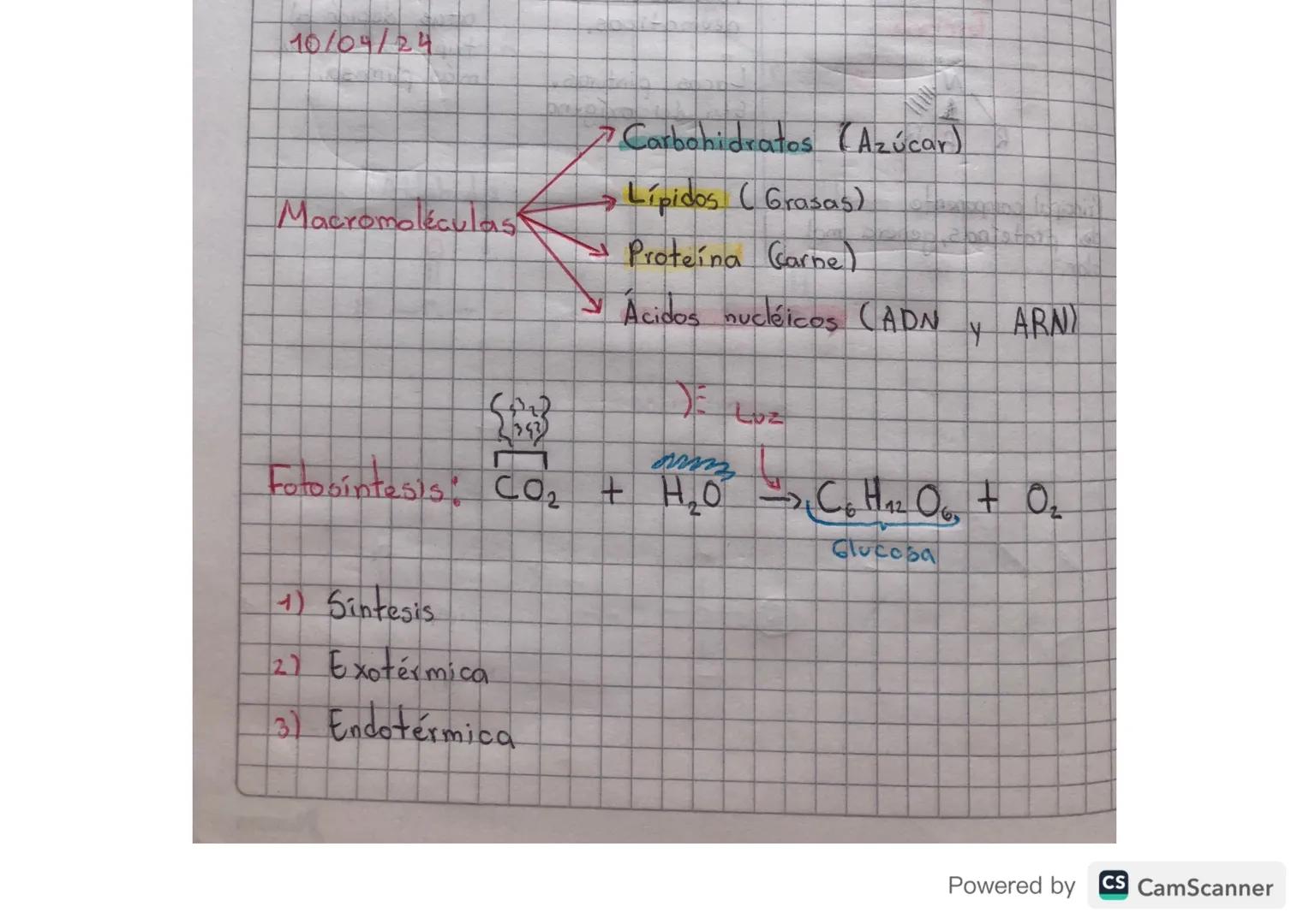 10/04/24

Macromoléculas

343
Π
→ Carbohidratos (Azúcar)

→ Lípidos (Grasas)

Proteína (Carne)

Acidos nucléicos (ADN, ARN)

Fotosintesis: C