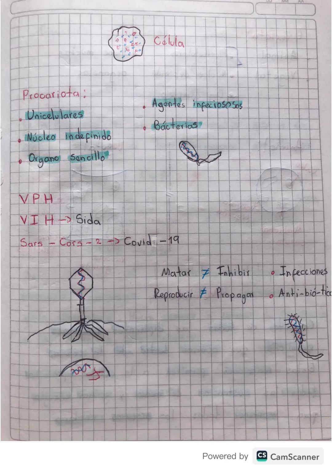 10/04/24

Macromoléculas

343
Π
→ Carbohidratos (Azúcar)

→ Lípidos (Grasas)

Proteína (Carne)

Acidos nucléicos (ADN, ARN)

Fotosintesis: C