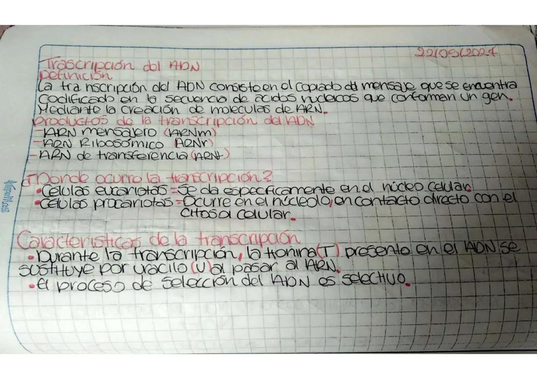 Transcripción del ADN