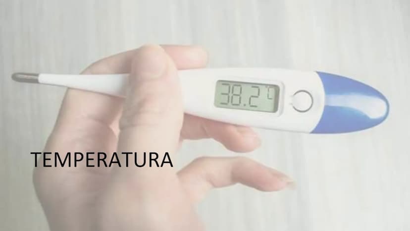 ¿QUE ES UN SIGNO VITAL?
Parámetros clínicos que reflejan el
estado fisiológico del organismo
humano,
esencialmente
y
proporcionan los datos 