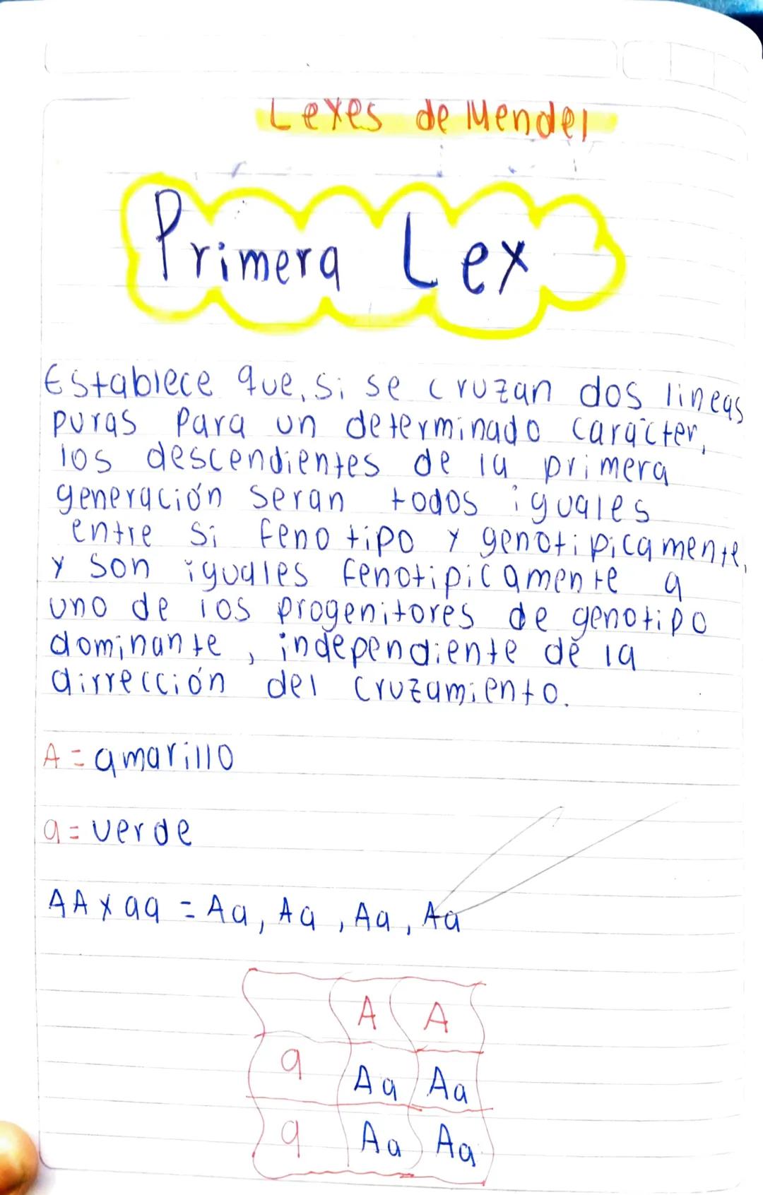 Las 4 leyes de mendel