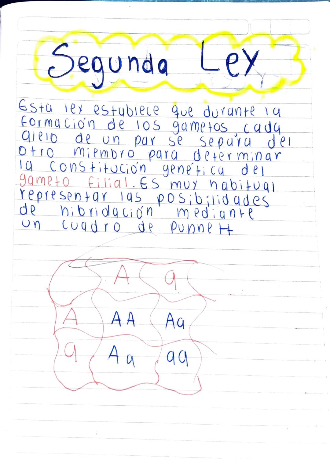 Lexes de Mendel

Primera Lex

Establece que, si se cruzan dos lineas
puras Para un determinado caracter,
los descendientes de la primera
gen
