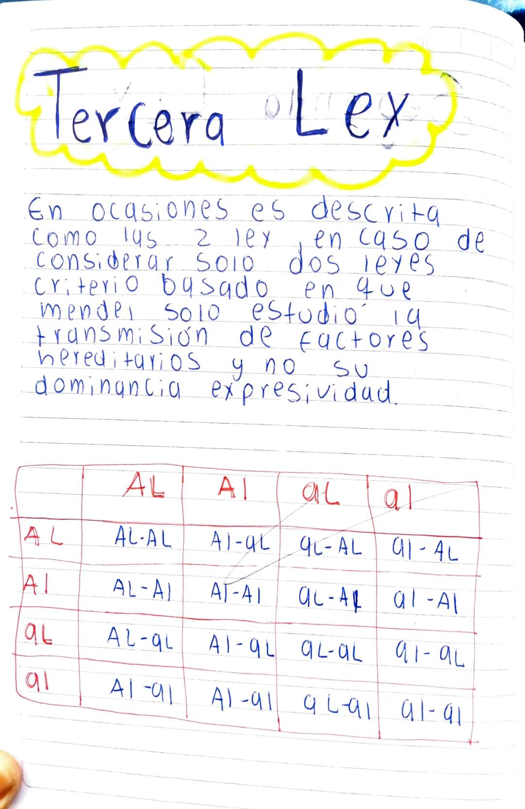 Lexes de Mendel

Primera Lex

Establece que, si se cruzan dos lineas
puras Para un determinado caracter,
los descendientes de la primera
gen