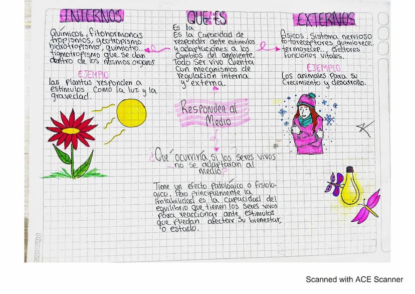 INTERNOS
Químicos, fitohormonas
tropismos, geotropismo
hidrotropismo, quimiotro..
tigmotropismo que se dan
dentro de los mismos organos.
EJE