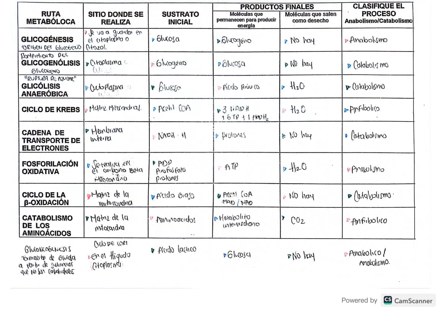 # RUTA
# METABÓLOCA
# SITIO DONDE SE
# REALIZA
# SUSTRATO
# INICIAL
# PRODUCTOS FINALES
# Moléculas que
# permanecen para producir
# energía