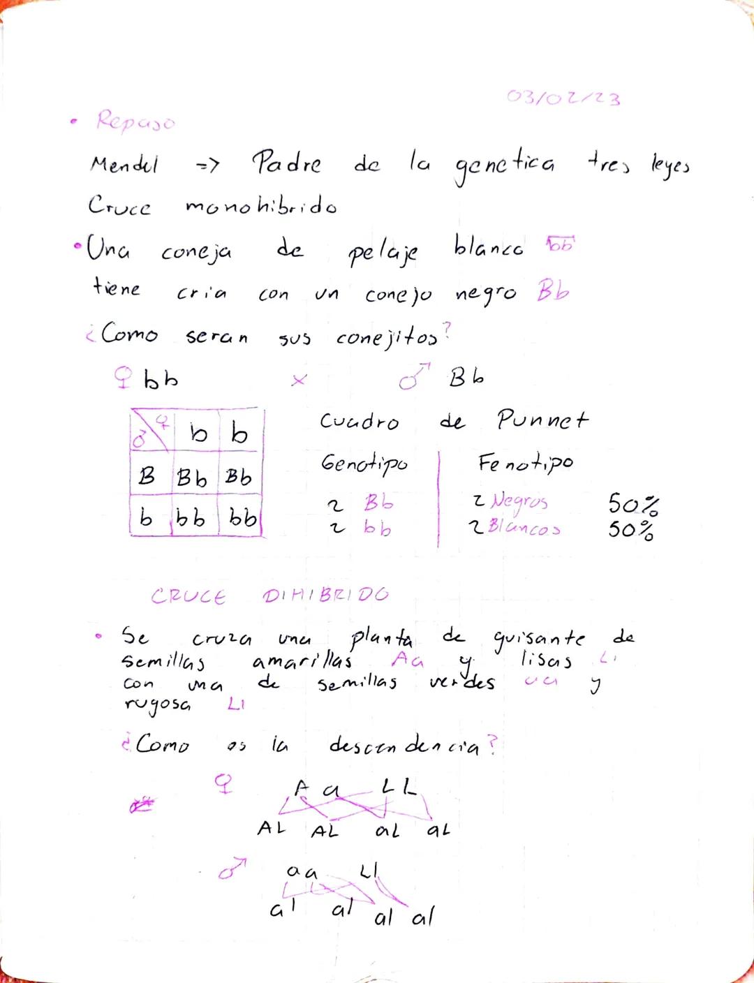 03/02/23
Repaso
Mendel
=>
Padre
de
la genetica tres leyes
Cruce
monohibrido
•Una coneja
de
tiene
Cria
Con
un
¿Como
Seran
9bb
pelaje blanco 5