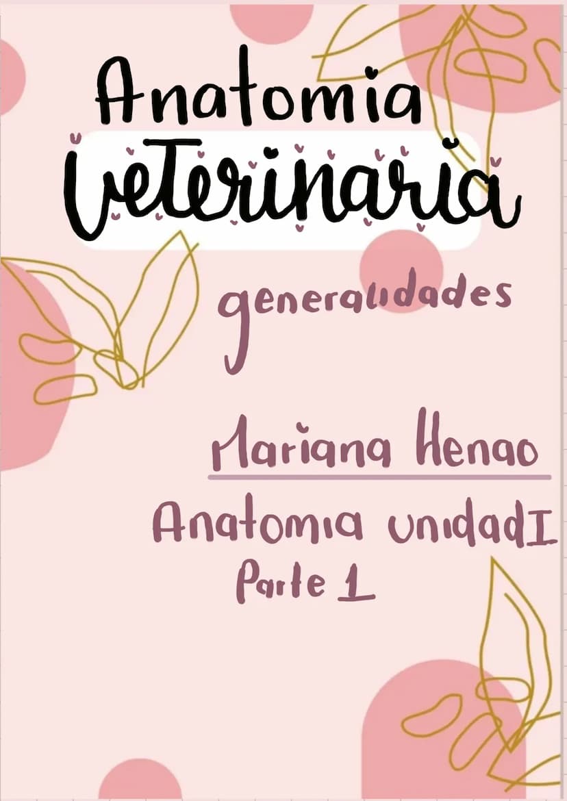20
Anatomia
Veterinaria
generaudades
Mariana Henao
Anatomia unidad I
Parte 1
обн unidad 1
generalidad
La anatomia topográfica, realiza el ac