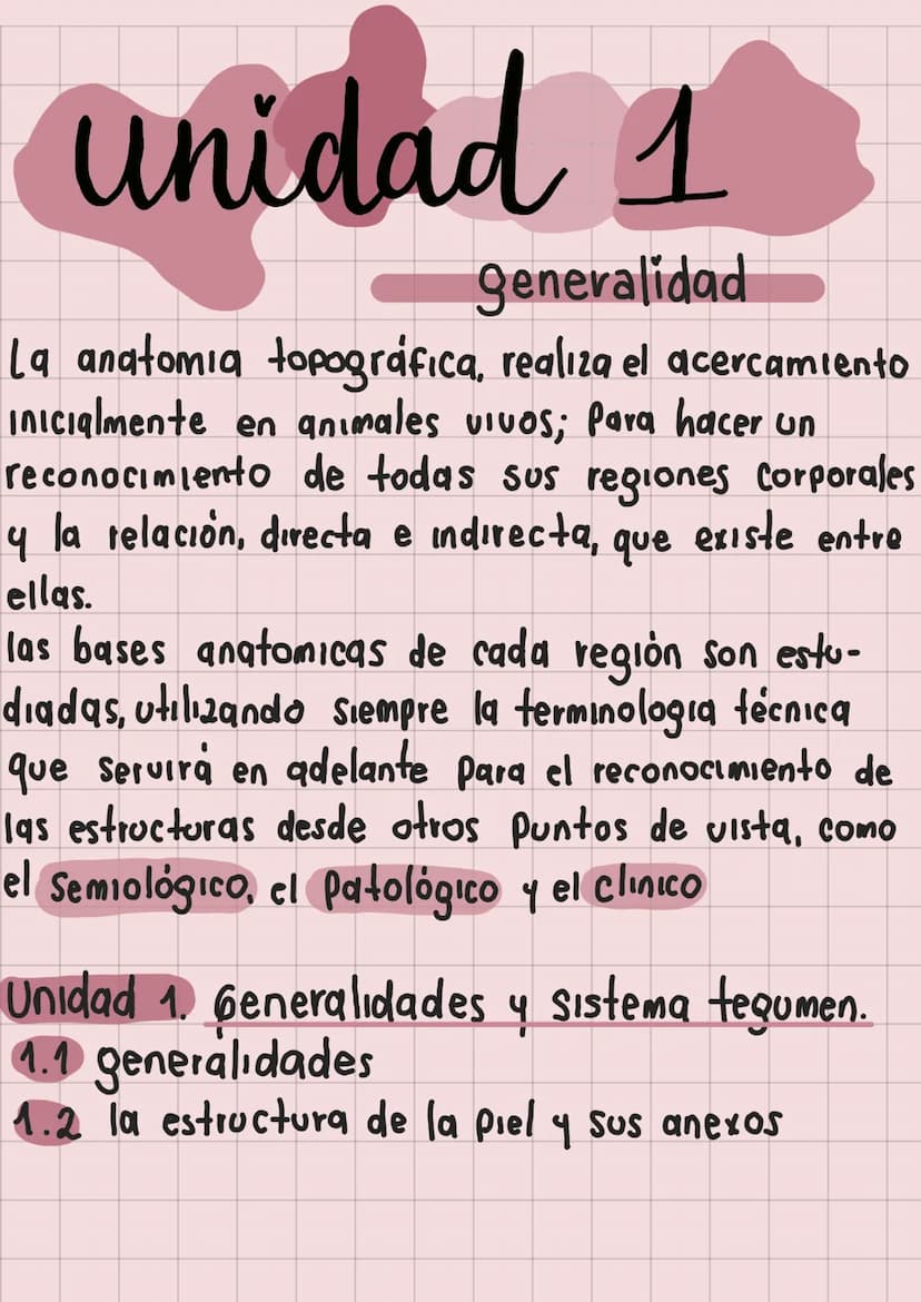 20
Anatomia
Veterinaria
generaudades
Mariana Henao
Anatomia unidad I
Parte 1
обн unidad 1
generalidad
La anatomia topográfica, realiza el ac