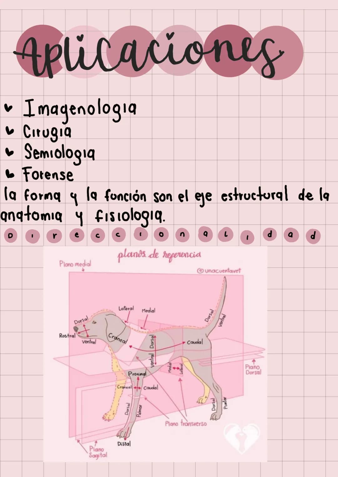 20
Anatomia
Veterinaria
generaudades
Mariana Henao
Anatomia unidad I
Parte 1
обн unidad 1
generalidad
La anatomia topográfica, realiza el ac