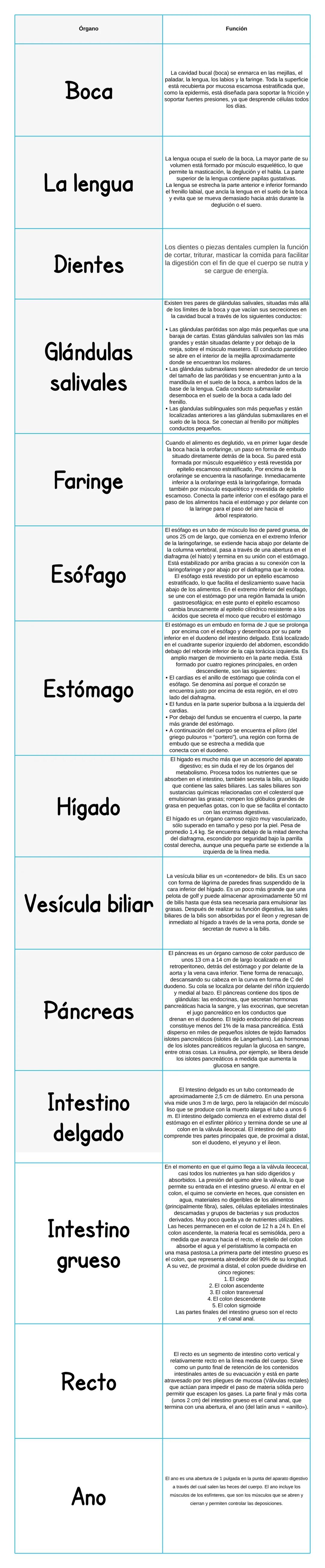 Boca

La lengua

Dientes

Glán­dulas
salivales

Faringe

Esófago

Estómago

Hígado

Vesícula biliar

Páncreas

Intestino
delgado

Intestino
