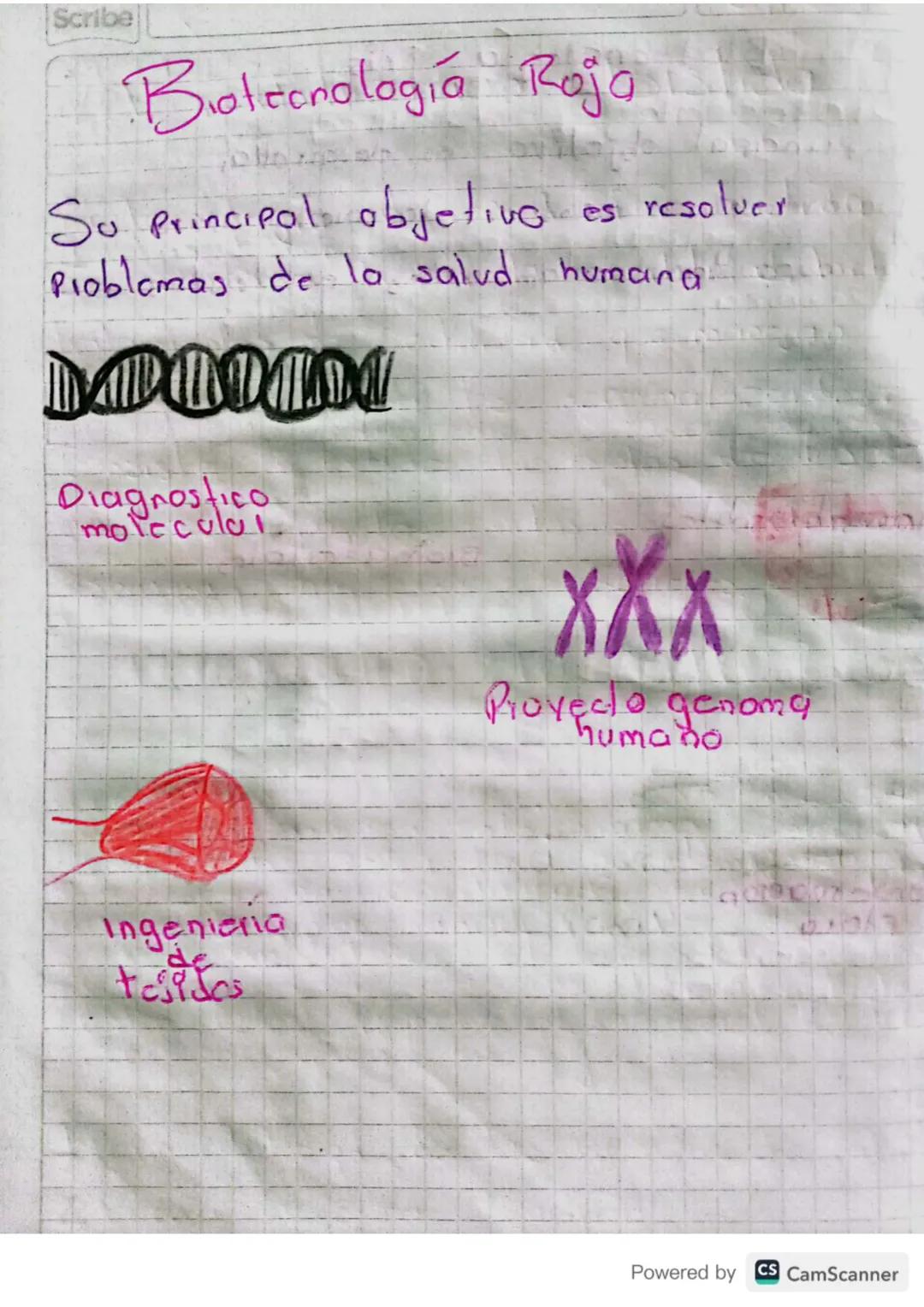 Biotecnología Blanca

Su Principal objetivo es diseñor
y optimizar Procesos industriales

Biocombustiblus

Tratamiento
Residues

Produccicod