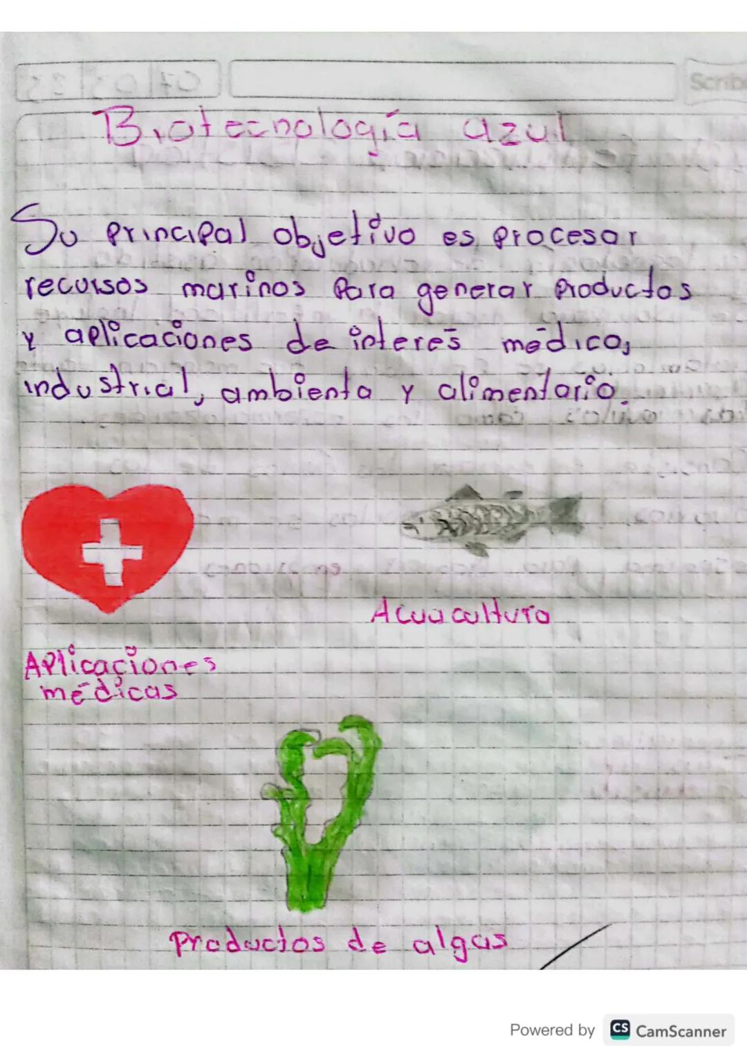 Biotecnología Blanca

Su Principal objetivo es diseñor
y optimizar Procesos industriales

Biocombustiblus

Tratamiento
Residues

Produccicod