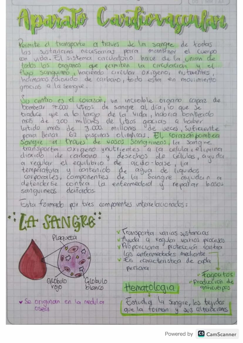 MM
AA
Aparati Caifievagonkn
mantener
Permite & transporte a traves de la sangre de todas
las sustancias necesarias para
el cuerpo
con vida. 