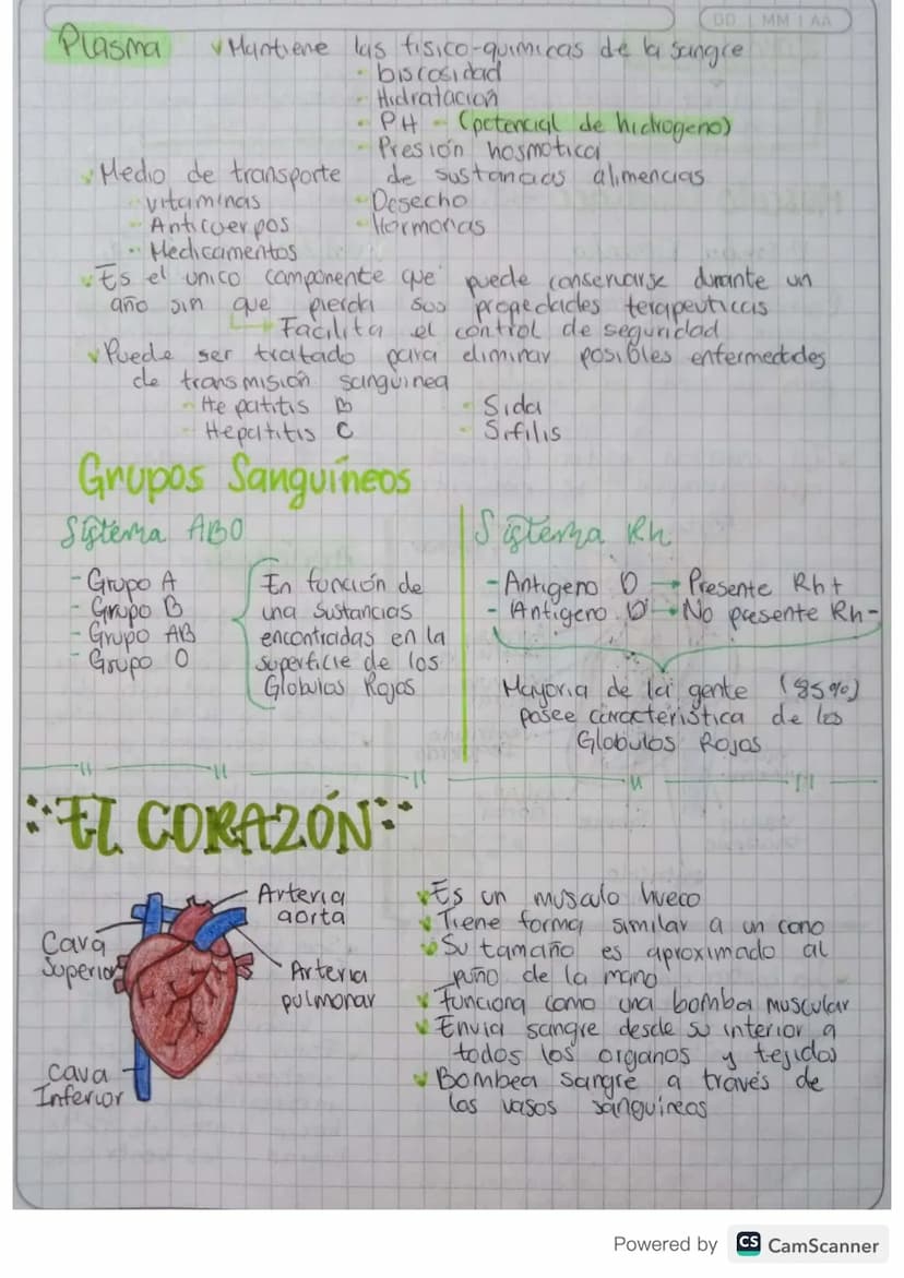 MM
AA
Aparati Caifievagonkn
mantener
Permite & transporte a traves de la sangre de todas
las sustancias necesarias para
el cuerpo
con vida. 