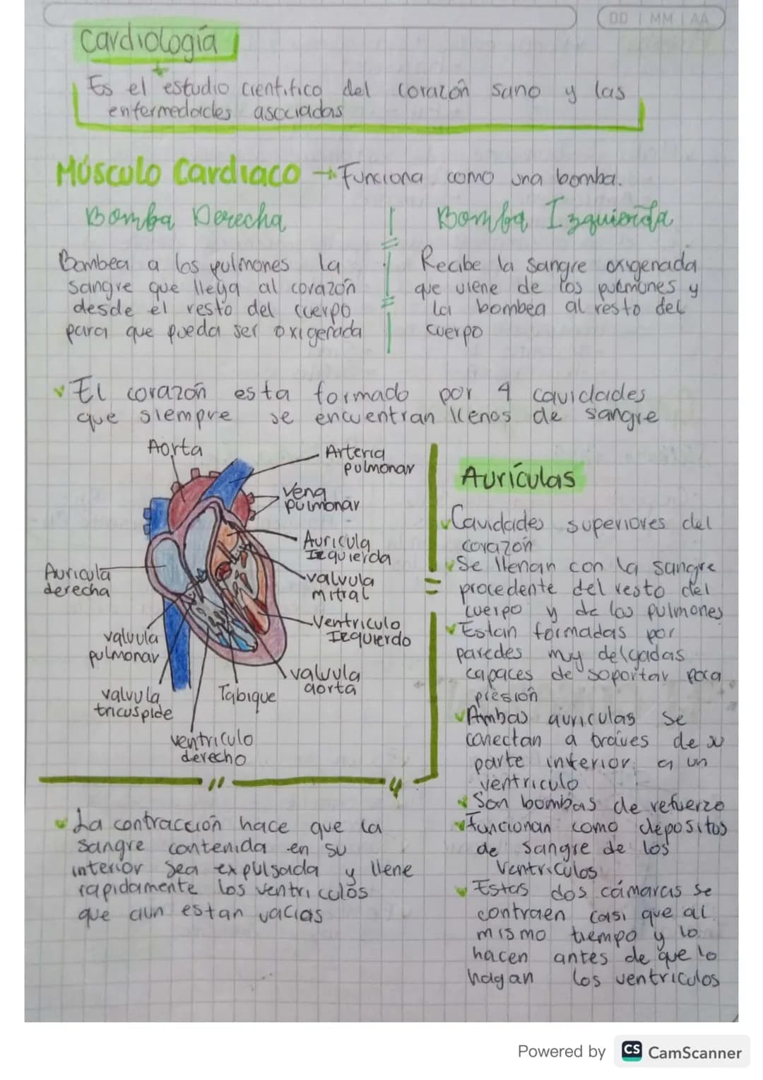 MM
AA
Aparati Caifievagonkn
mantener
Permite & transporte a traves de la sangre de todas
las sustancias necesarias para
el cuerpo
con vida. 