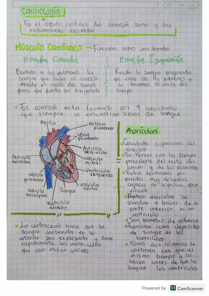 MM
AA
Aparati Caifievagonkn
mantener
Permite & transporte a traves de la sangre de todas
las sustancias necesarias para
el cuerpo
con vida. 