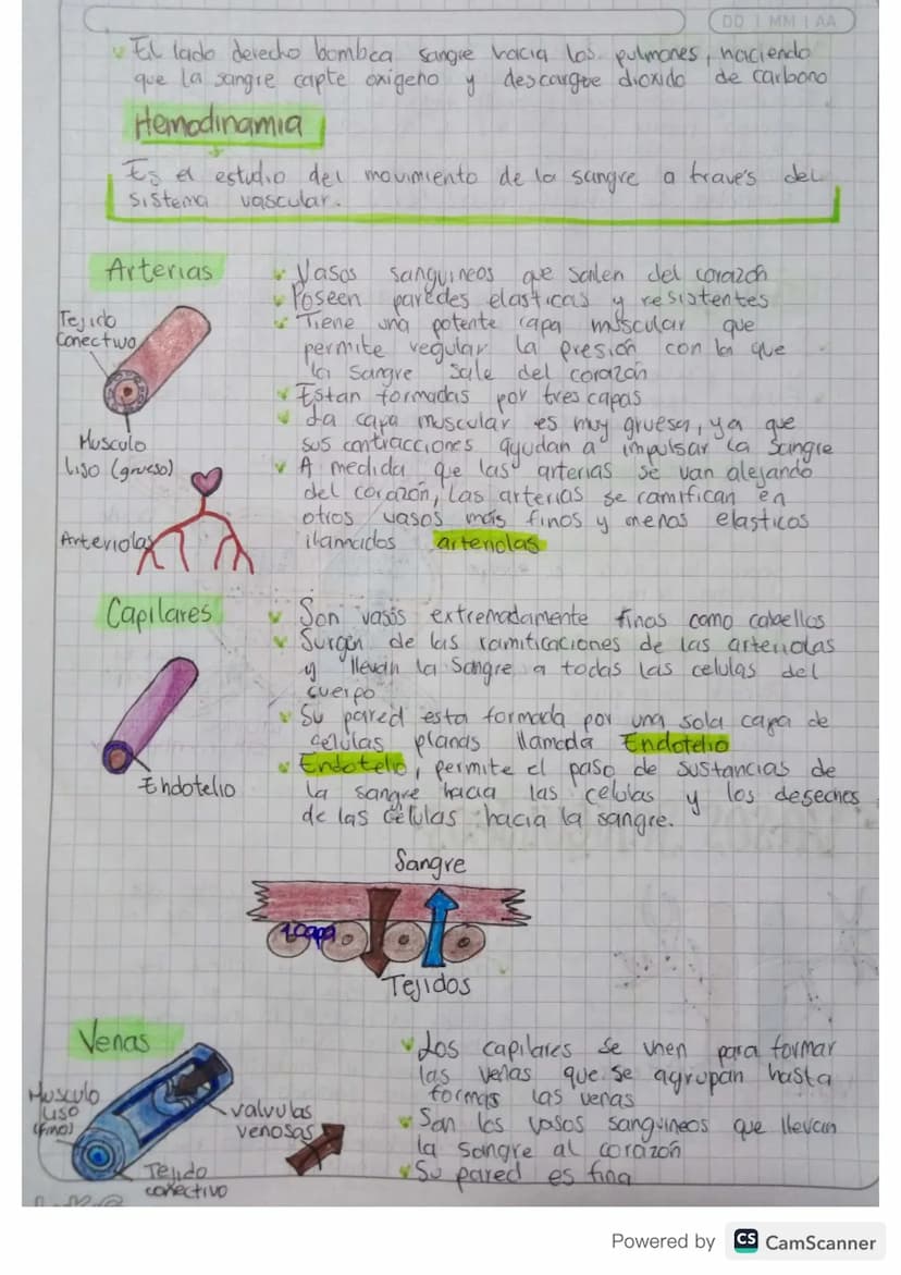 MM
AA
Aparati Caifievagonkn
mantener
Permite & transporte a traves de la sangre de todas
las sustancias necesarias para
el cuerpo
con vida. 