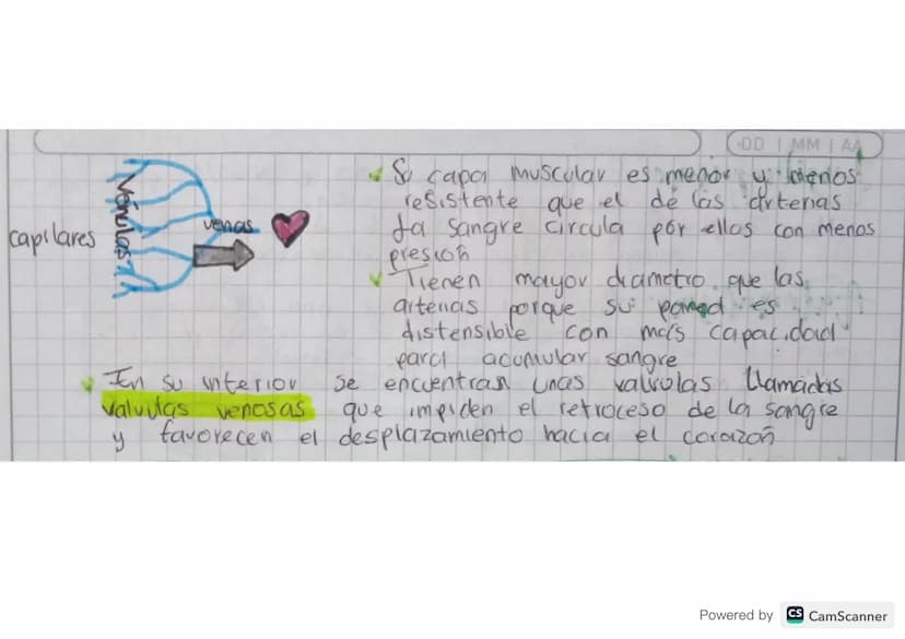MM
AA
Aparati Caifievagonkn
mantener
Permite & transporte a traves de la sangre de todas
las sustancias necesarias para
el cuerpo
con vida. 