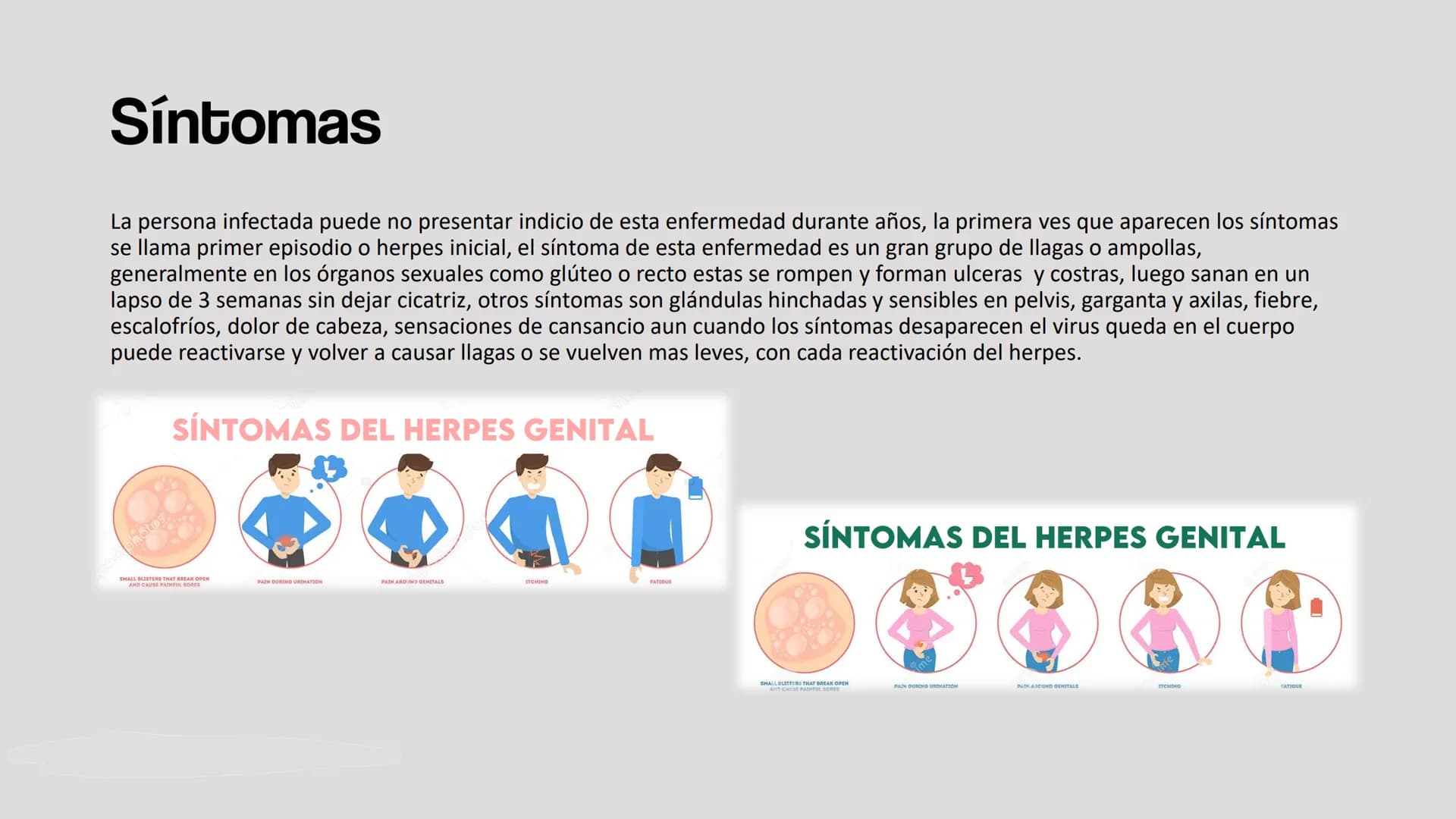HERPES GENITAL Herpes genital
Es una enfermedad infecciosa la cual se transmite atreves de besos y de contacto directo con el área afectada
