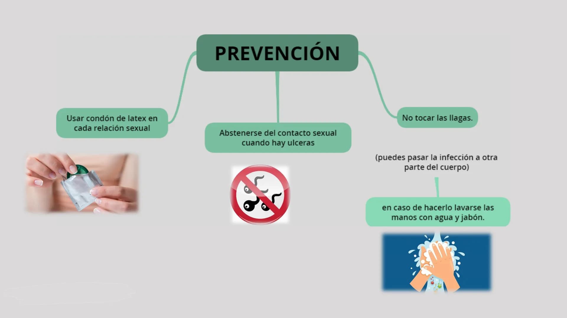 HERPES GENITAL Herpes genital
Es una enfermedad infecciosa la cual se transmite atreves de besos y de contacto directo con el área afectada
