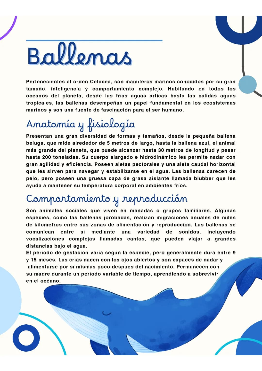 Ballenas