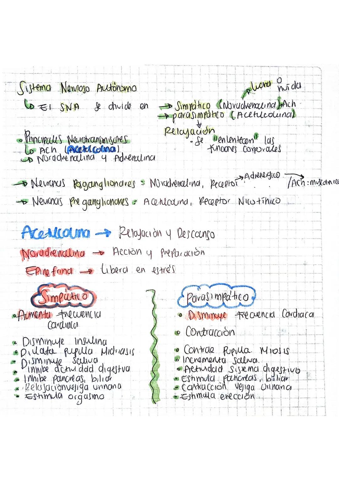 Sistema Nemojo Autónomo.
LEI SNA
Se divide en
•Principales Nechitransonisches
Lo Ach (Actul colna)
D
Noradrenalina 4 Adrenalina
pliches
Ovid