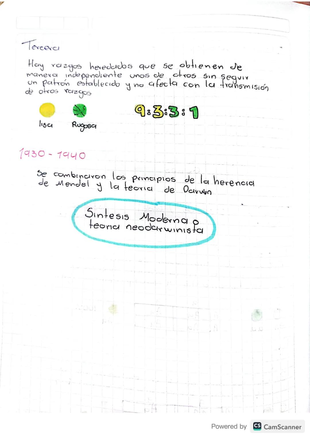 # EVOLUCIÓN TEORIAS

1804>

Jean Baptiste De Lameirek

Filosofia
zoologica

El ambiente
Provoca un
cambio

X

1831

La vida se ha desarrolla