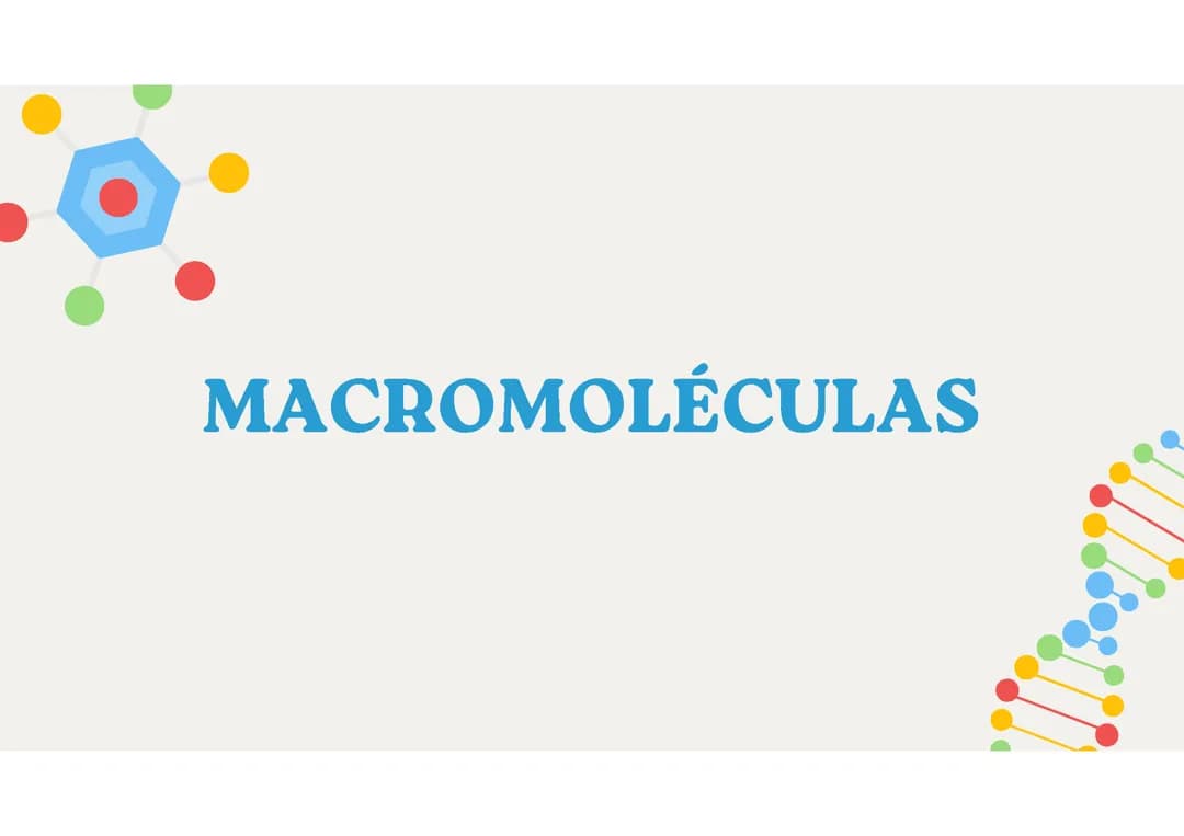 Macromoléculas 
