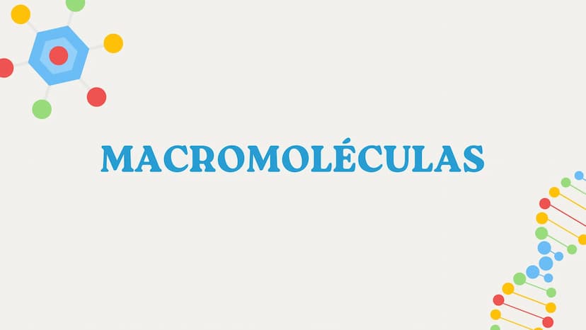 MACROMOLÉCULAS Introducción
Objetivo
Explorar la estructura y función de las macromoléculas, así como su importancia en
diversos procesos bi