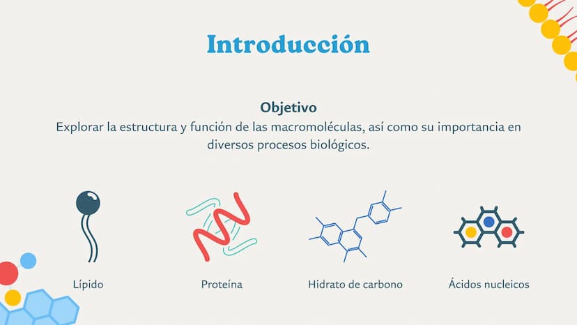 MACROMOLÉCULAS Introducción
Objetivo
Explorar la estructura y función de las macromoléculas, así como su importancia en
diversos procesos bi