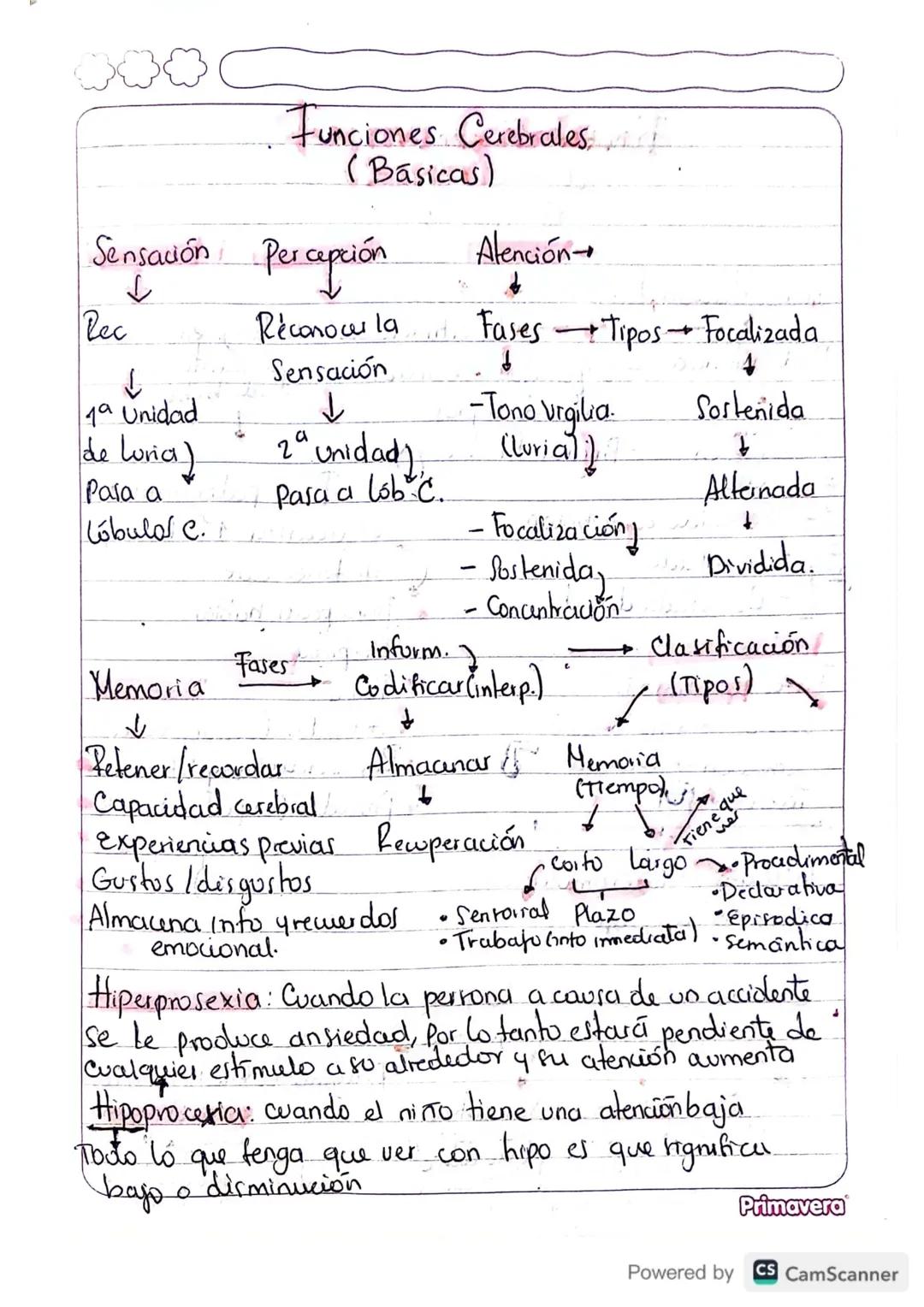 # Funciones Cerebrales
(Básicas)

Sensación Percepción Atención
↓ ↓
Rec Reconocer la Fases Tipos Focalizada
Sensación ↓
↓ ↓
19 Unidad 2º uni