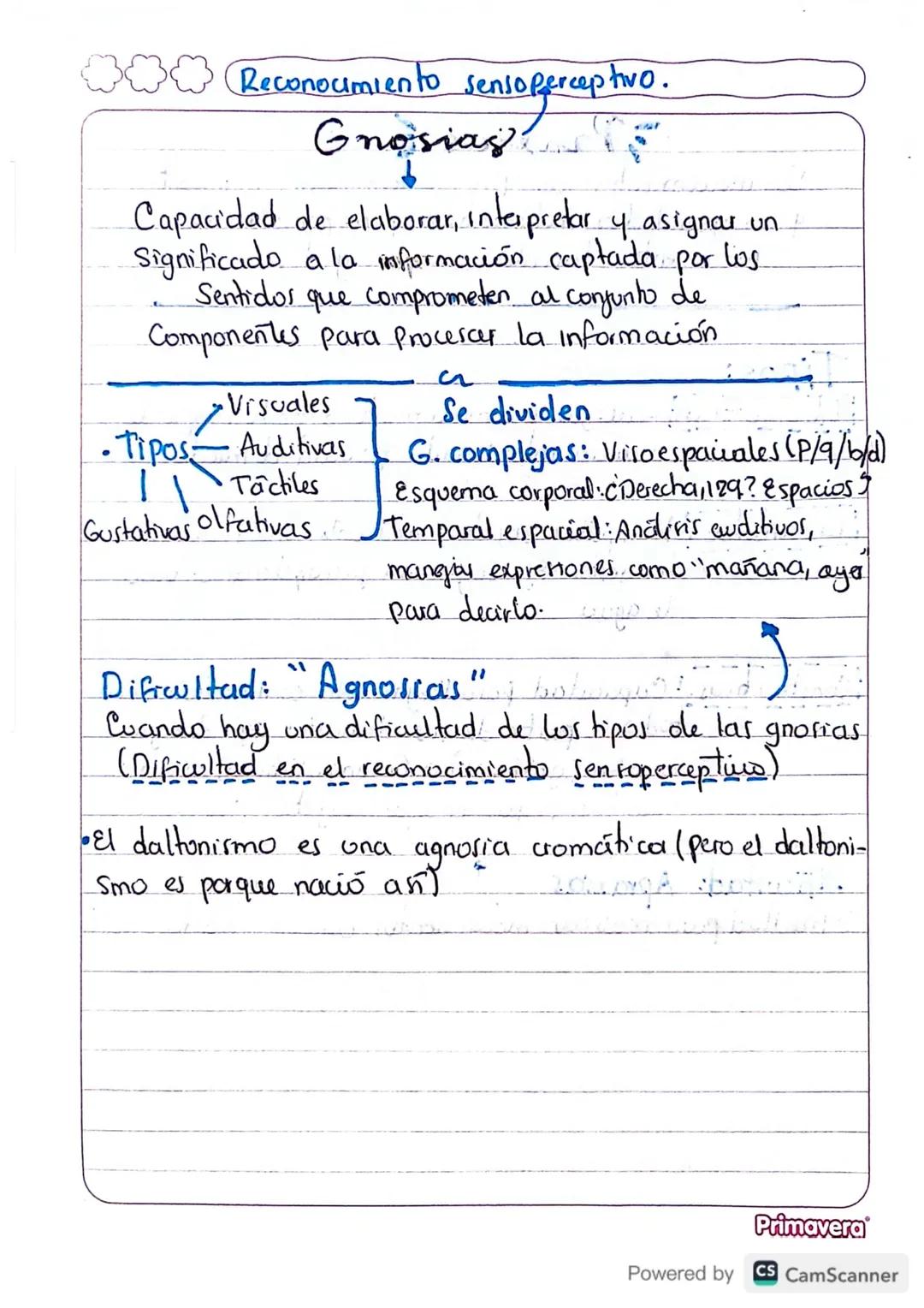 # Funciones Cerebrales
(Básicas)

Sensación Percepción Atención
↓ ↓
Rec Reconocer la Fases Tipos Focalizada
Sensación ↓
↓ ↓
19 Unidad 2º uni
