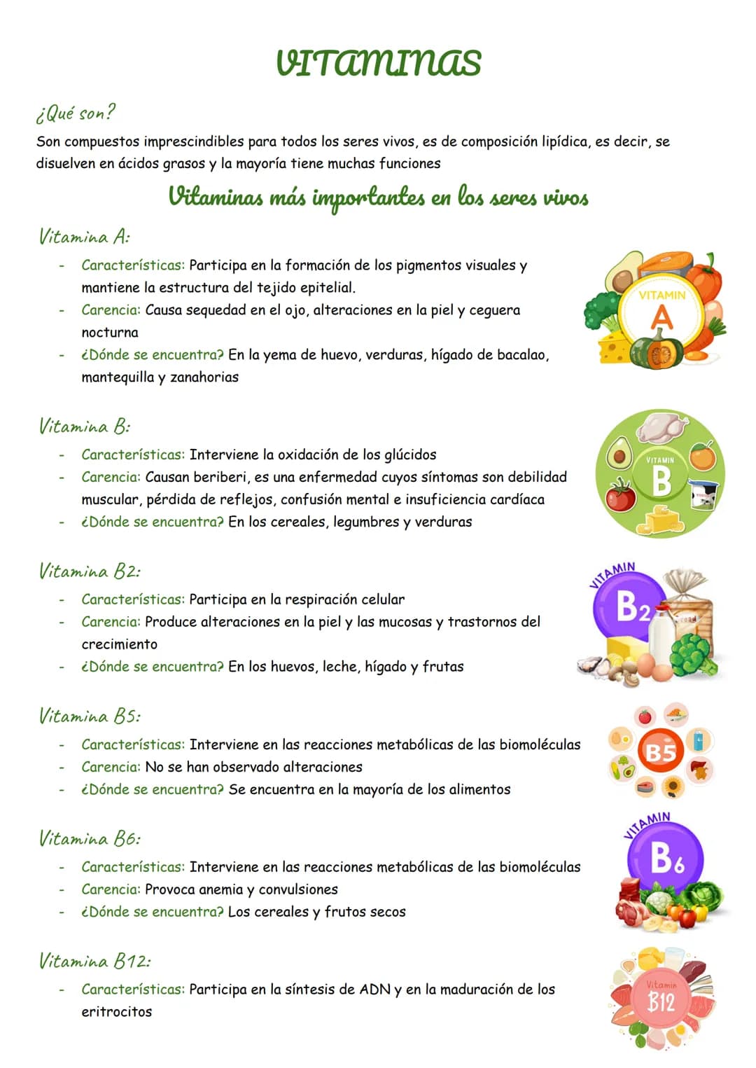 VITAMINAS
¿Qué son?
Son compuestos imprescindibles para todos los seres vivos, es de composición lipídica, es decir, se
disuelven en ácidos 